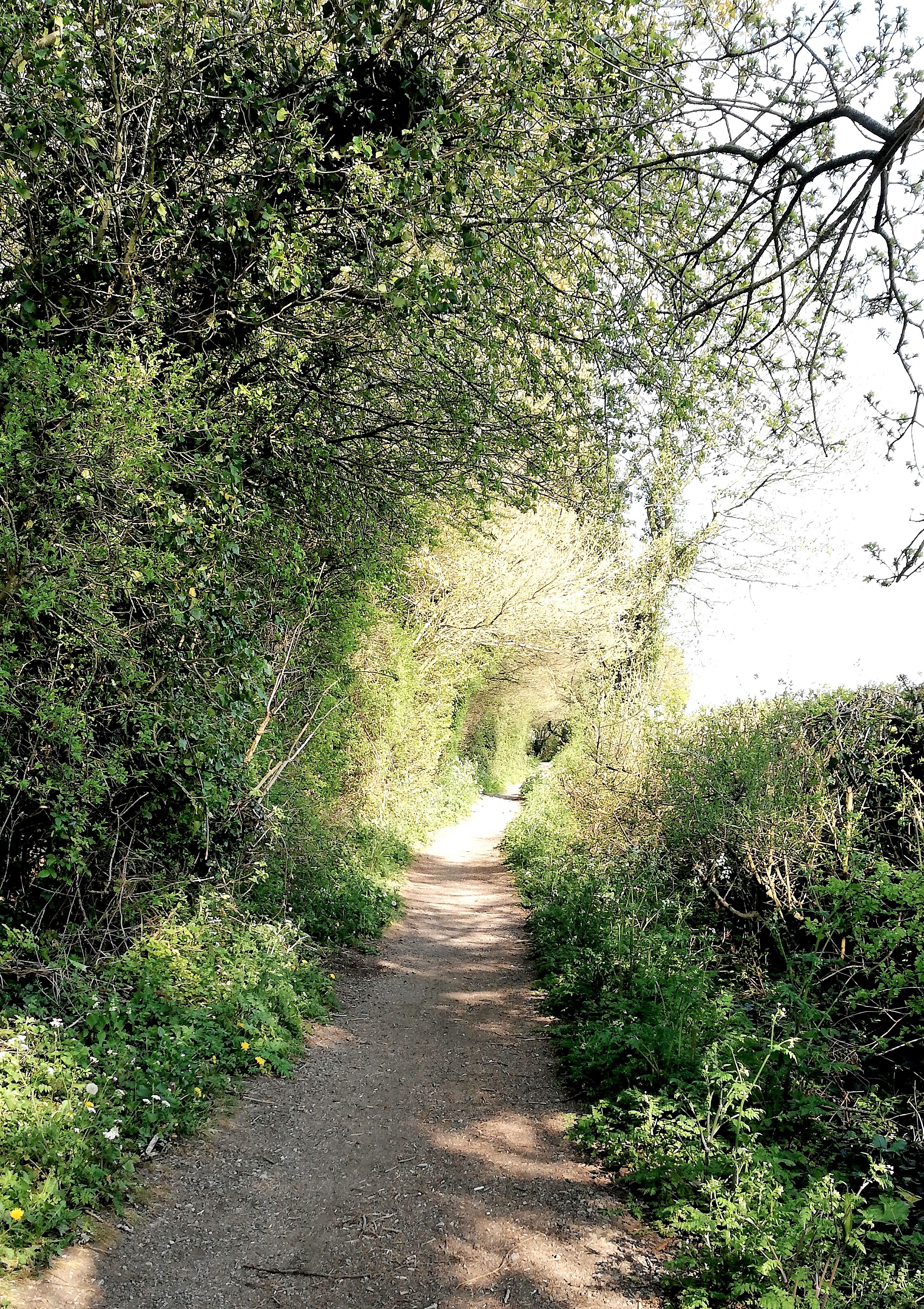 back lane